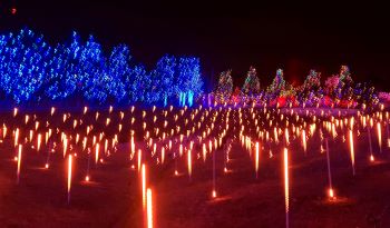 2024 Light Up Hope