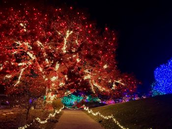 2024 Light Up Hope