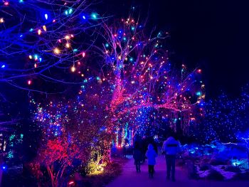 2024 Light Up Hope